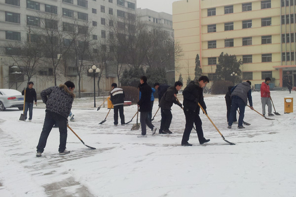 第二党总支组织学生进行扫雪活动 第二党总支组织学生进行扫雪活动
