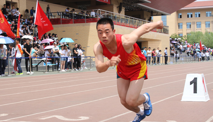 我院代表团在44118太阳成城集团2016年学生田径运动会上再创佳绩 我院代表团在44118太阳成城集团2016年学生田径运动会上再创佳绩