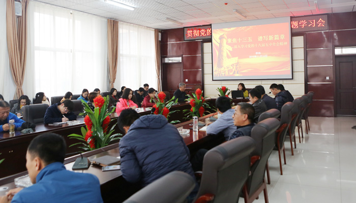 44118太阳成城集团召开学习贯彻十八届五中全会精神专题会议