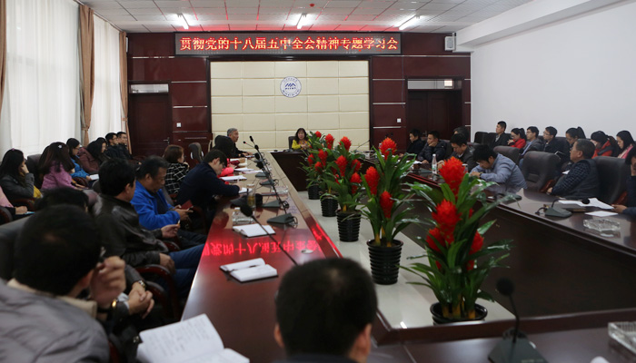 44118太阳成城集团召开学习贯彻十八届五中全会精神专题会议